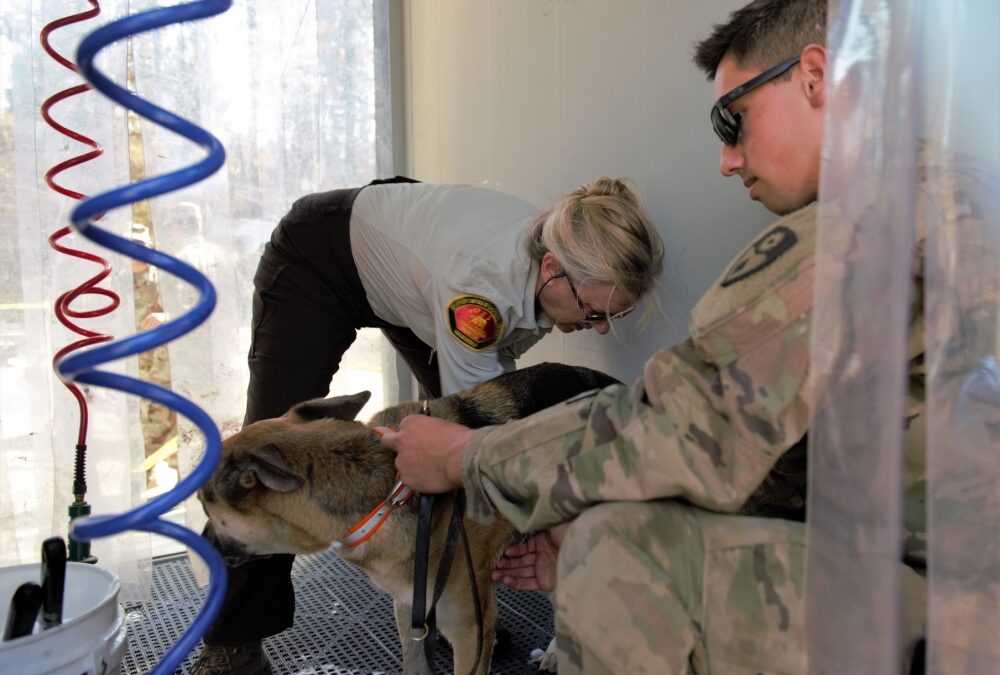 Dog tags and wags: Soldiers decontaminate search and rescue volunteers near North Complex Fire