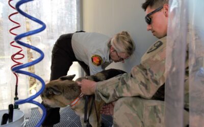 Dog tags and wags: Soldiers decontaminate search and rescue volunteers near North Complex Fire